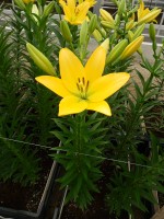 [5047 Cevennes No01.JPG]